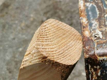 Bild 2:Lärchenstempel