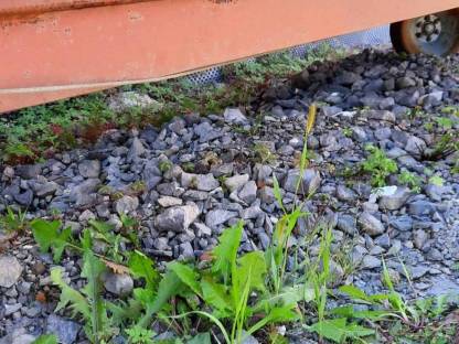 Bild 7:Anhänger, Bagger Transporter, mobile Bewässerung