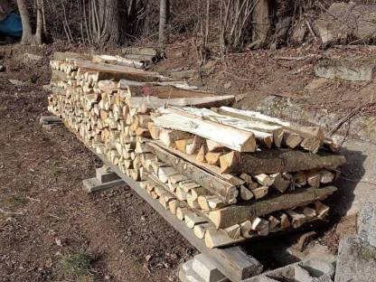 Bild 4:Brennholz, weich