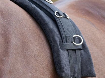 Bild 3:Einspänner Brustblattgeschirr inkl. Zubehör