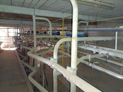 Bild 7:Flaco Fischgrätenmelkstand Doppel 8er Swing Over