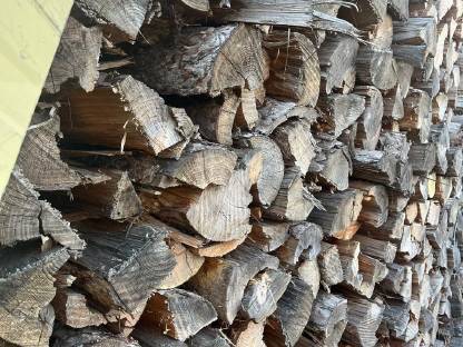 Bild 2:Brennholz Weichholz