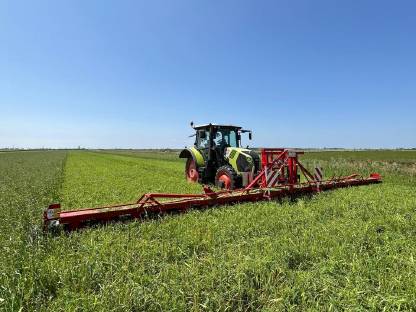 Überkopfschneider, mechanische Unkrautbekämpfung, Bio