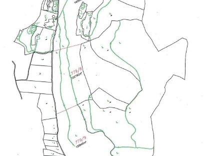 Wald zu verkaufen