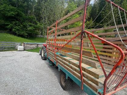 Bild 2:Steyr Hamster Ladewagen