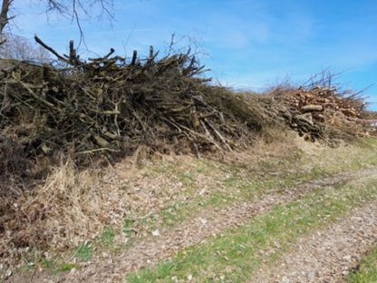 Holz zum Verhacken