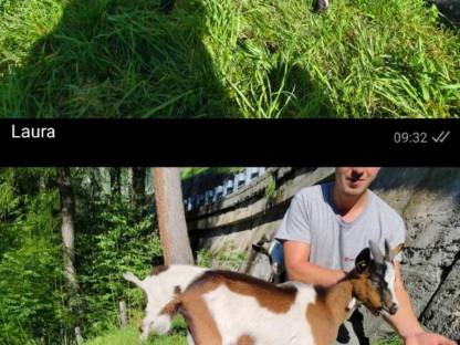 Bild 7:Tauernschecken Kitze