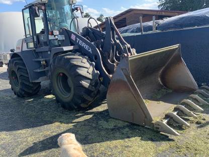 Radlader Terex TL 260