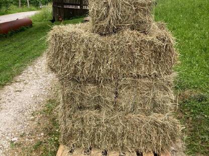 Heukleinballen