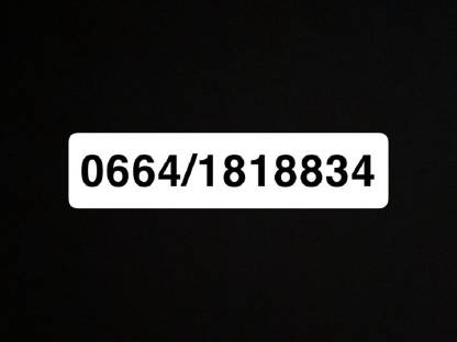 Bild 2:Shropshire Lämmer 2026