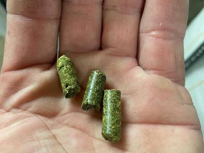 Bild 4:Heu, Luzernepellets
