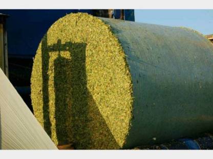 Bild 2:Verkaufe Maisballen Ernte 2025