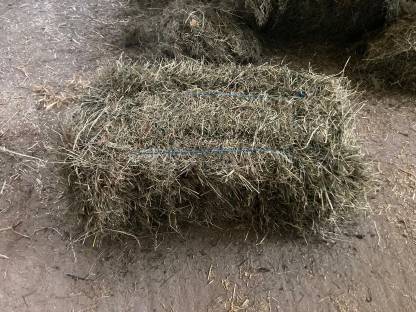 Bild 3:Heu in Kleinballen, 2. Schnitt 2024