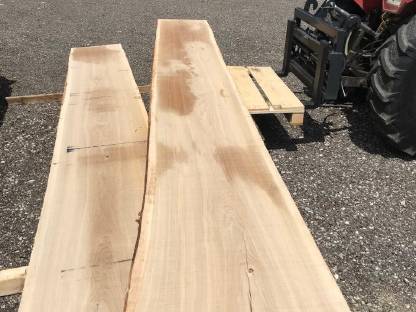 Bild 6:Tischlerholz, Holzpfosten, Eiche, Buche, Esche