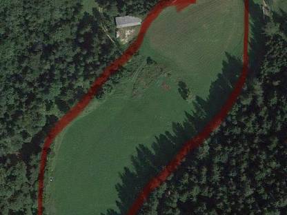 Bild 3:Sommerpferdeweide