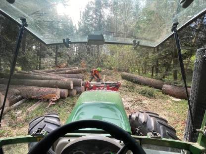 Bild 4:Holzschlägerung/Baumfällung