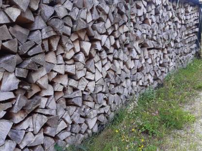 Buchenholz