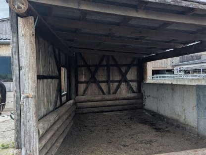 Bild 4:Einstellplatz für ein Pferd