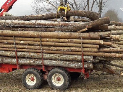 Bild 5:Rungenwagen, Rückewagen, Forstanhänger