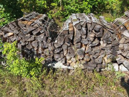 Brennholz Birke