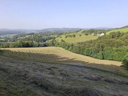 Bild 3:Heurundballen 2025, 30 Stk.