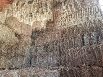 Bild 2:Heukleinballen