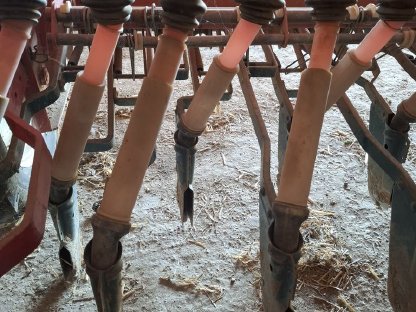 Bild 2:Reform Semo 99 - 3