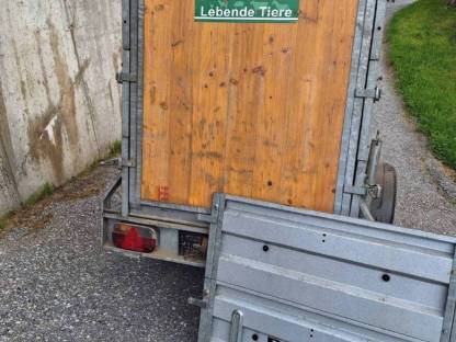 Bild 2:Pongraz Anhängern