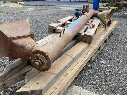 Bild 2:Düngerschnecke, Schnecke