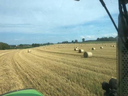 Bild 2:Heu und Stroh zu verkaufen