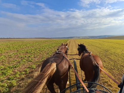 Bild 3:Freizeitgespann