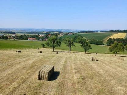 Bild 3:Greenland Quaderballenpresse