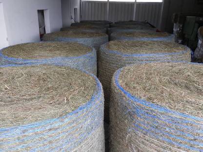 Bild 5:Rundballen und Kleinballen mit Warmluft belüftet