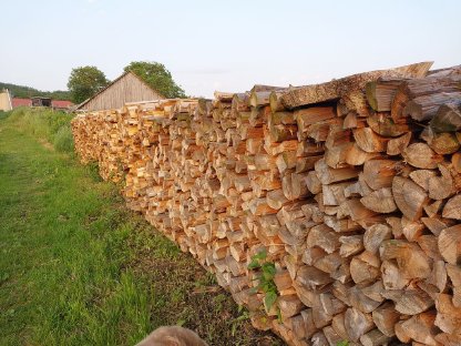 Brennholz Föhre trocken