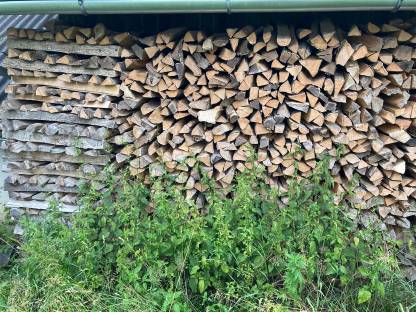 Verk. trockenes Brennholz