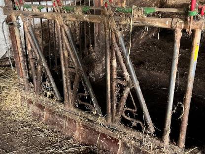 Bild 2:Fressgitter Kalbinnen