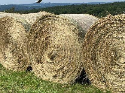 Bild 2:Heuballen 1,50 m