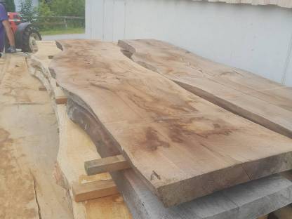 Bild 3:Walnuss Pfosten