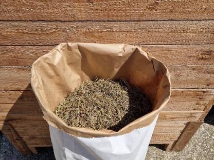 Bild 2:Lavendeleinstreu für Hühner