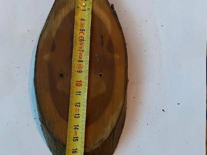 Bild 2:Rehbrett, Eibe, Brettchen, Rehbock, Geweih, Trophäen, Jagd