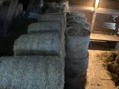 Bild 9:Heu Rundballen 1. und 2. Schnitt 2024