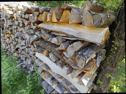 Bild 2:Brennholz