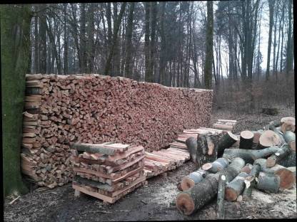 Buchen Brennholz