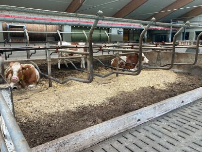 Bild 2:Schauer Liegeboxen