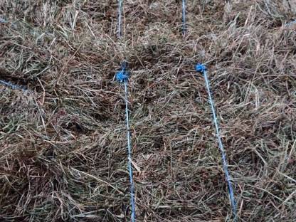Bild 2:Wiesenheu, Weizen-/Gersten-Stroh, Luzerneheu in Kleinballen