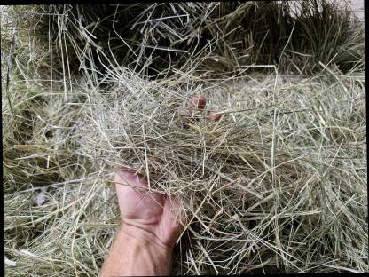 Bild 2:Heu Kleinballen