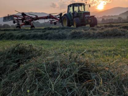 Bild 2:Bio-Austria Grummetballen