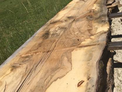 Bild 3:Tischplatte Kastanie