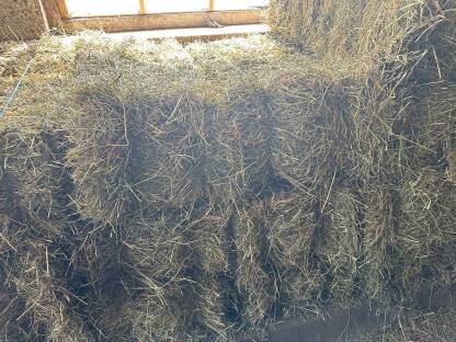 Bild 2:Heuballen