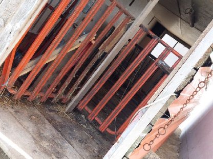 Bild 2:Verkaufe Ziegen/Schafstall